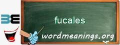 WordMeaning blackboard for fucales